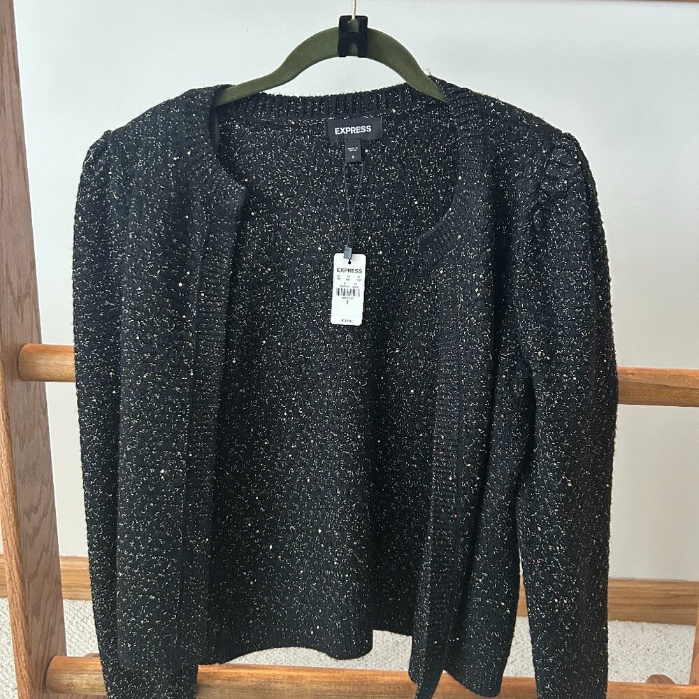 Express womens sweater